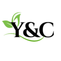 Y&C Logo